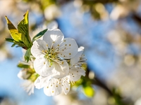 Гороскоп на квітень 2025 року для всіх знаків зодіаку