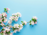 Гороскоп на травень 2025 року для всіх знаків зодіаку