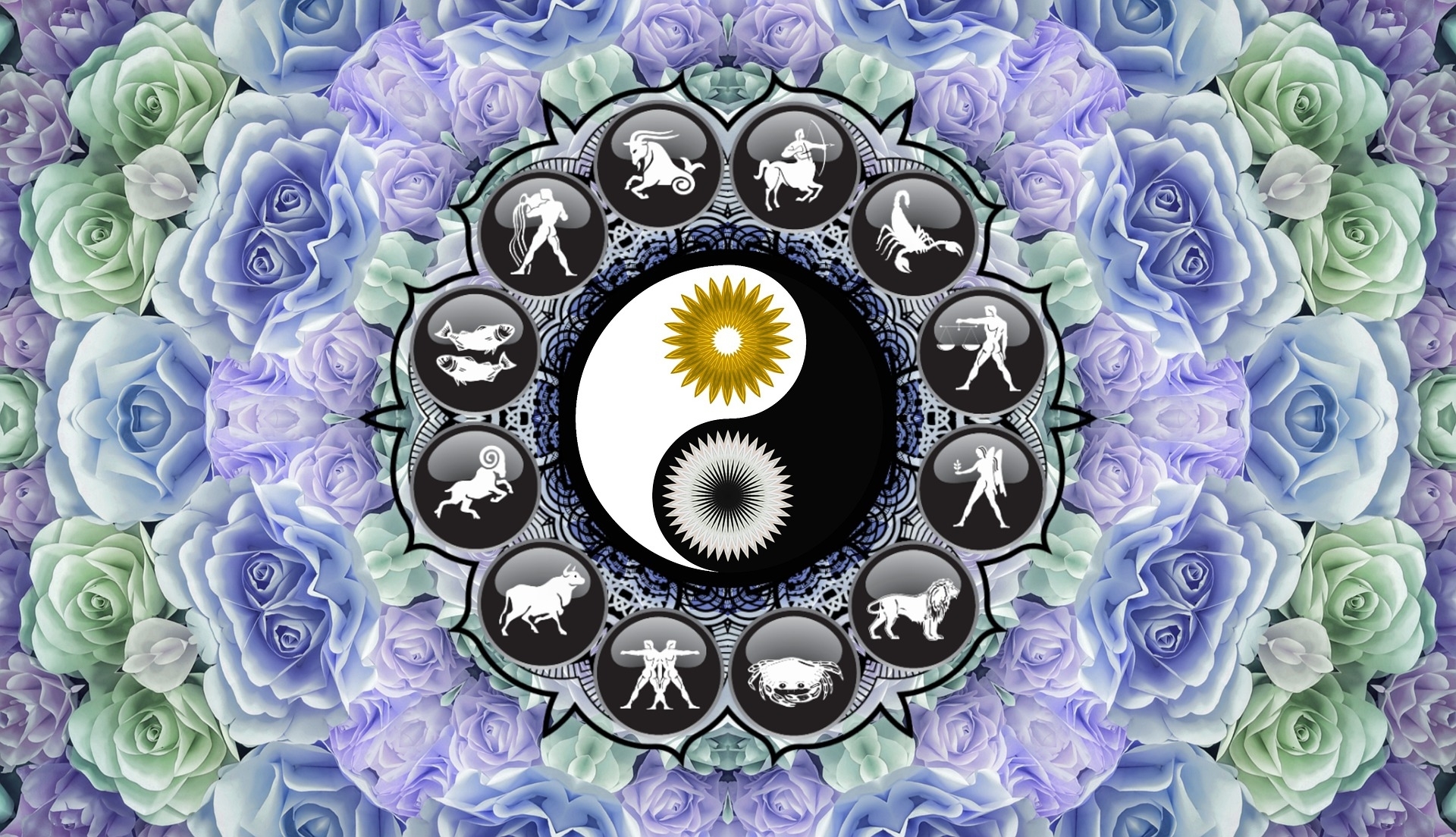 D23ae06bd904d2bbe4ef90d127c4945d resize crop 1xquality 100xallow enlarge 0xw 0xh 0