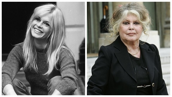 Брижит Бардо госпитализировали: что случилось с секс-символом французского кино