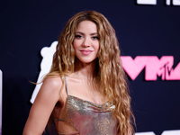 Шакира после падения на сцене показала, как нужно выходить из неловких ситуаций