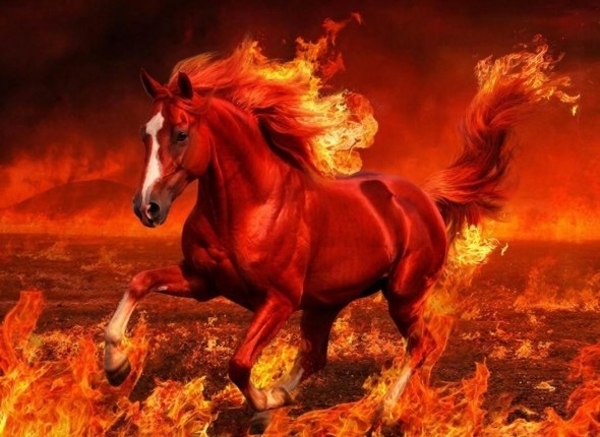 Год Огненной Лошади: время больших перемен и невероятной удачи для 4 знаков