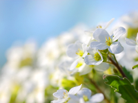 Гороскоп на апрель 2026 года для всех знаков зодиака