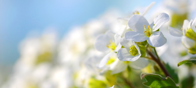 Гороскоп на квітень 2026 року для всіх знаків зодіаку