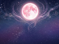 Розовое полнолуние в апреле 2026 года: судьбоносный поворот для трех знаков Зодиака