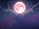 Рожевий повний місяць у квітні 2026 року: доленосний поворот для трьох знаків Зодіаку