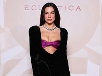 Дуа Липа помогла купить пикап для украинских медиков на фронт