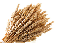 "Злаковое" похудение