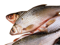 В чем польза рыбьего жира