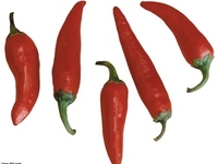 "Острая" помощь в борьбе с лишним весом