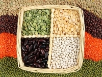 Белая фасоль поможет похудеть