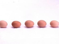 Разгрузочная диета на 4 дня