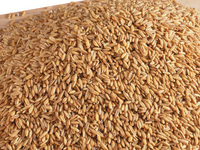 Как похудеть на каше?