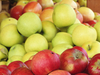 "Голодная диета"