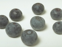 Черничная диета