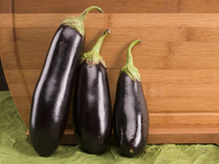 Пан баклажан