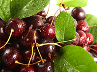 Вишня: извлекаем косточки