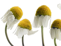 Правила очищения