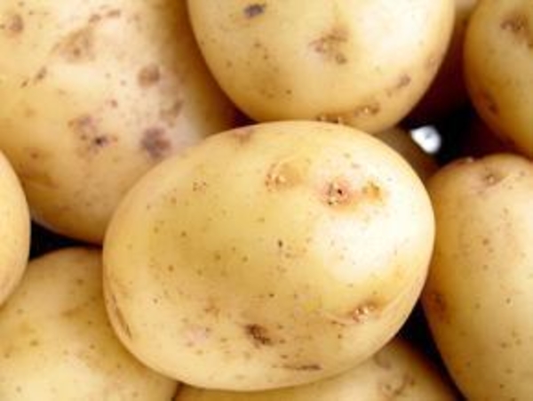 Двадцатидневная диета