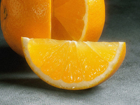 Диета болгарского целителя Петра Димкова