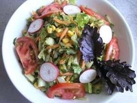 Салать "Свежесть"