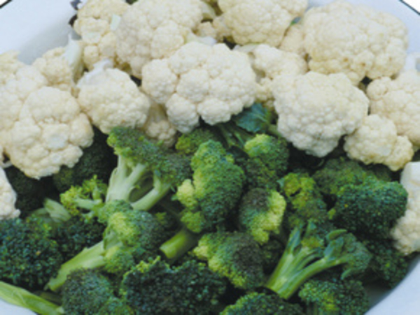 Мужская диета от рака и простатита