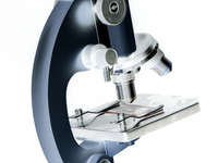 Меньше калорий – дольше жизнь?