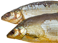 Диета Рейчел и Ричарда Хеллер