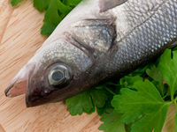 Тонус-питание