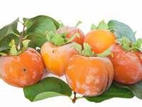 В чем польза хурмы?