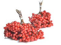 Напиток из калины