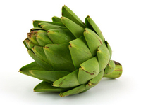 Кому полезен артишок