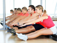 Гибкое тело