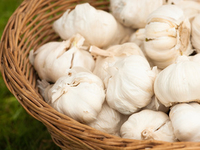 10 продуктов питания, которые помогают бороться с простудой