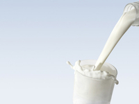 Молоко растворяет полезные свойства чая