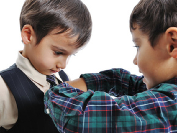 Соперничество в воспитании