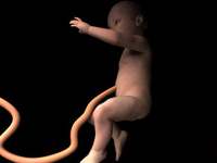 Что такое ЭКО?