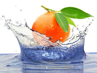 Мандарины спасают от ожирения