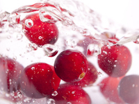 Клюквенный сок обладает противомикробным действием