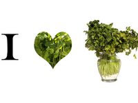 Очень полезная приправа