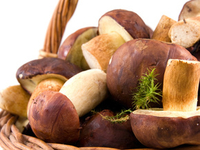 Можно ли есть грибы детям?