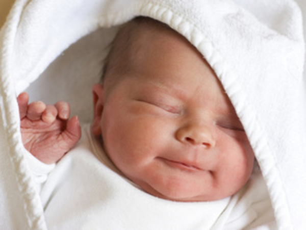 Поведение во время кормления