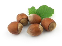 Полезная информация о наших любимых орешках