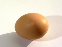 Интересные факты о яйце