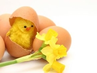 Готовимся к Пасхе