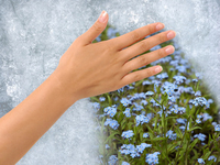 Влияние ароматерапии на здоровье