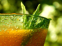 Домашние соки