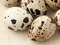 Вкусный деликатес: Перепелиные яйца