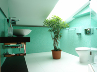 Растения для ванной