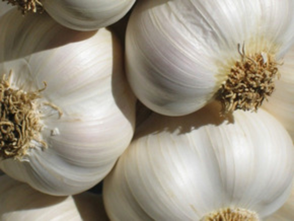 Готовим с чесноком